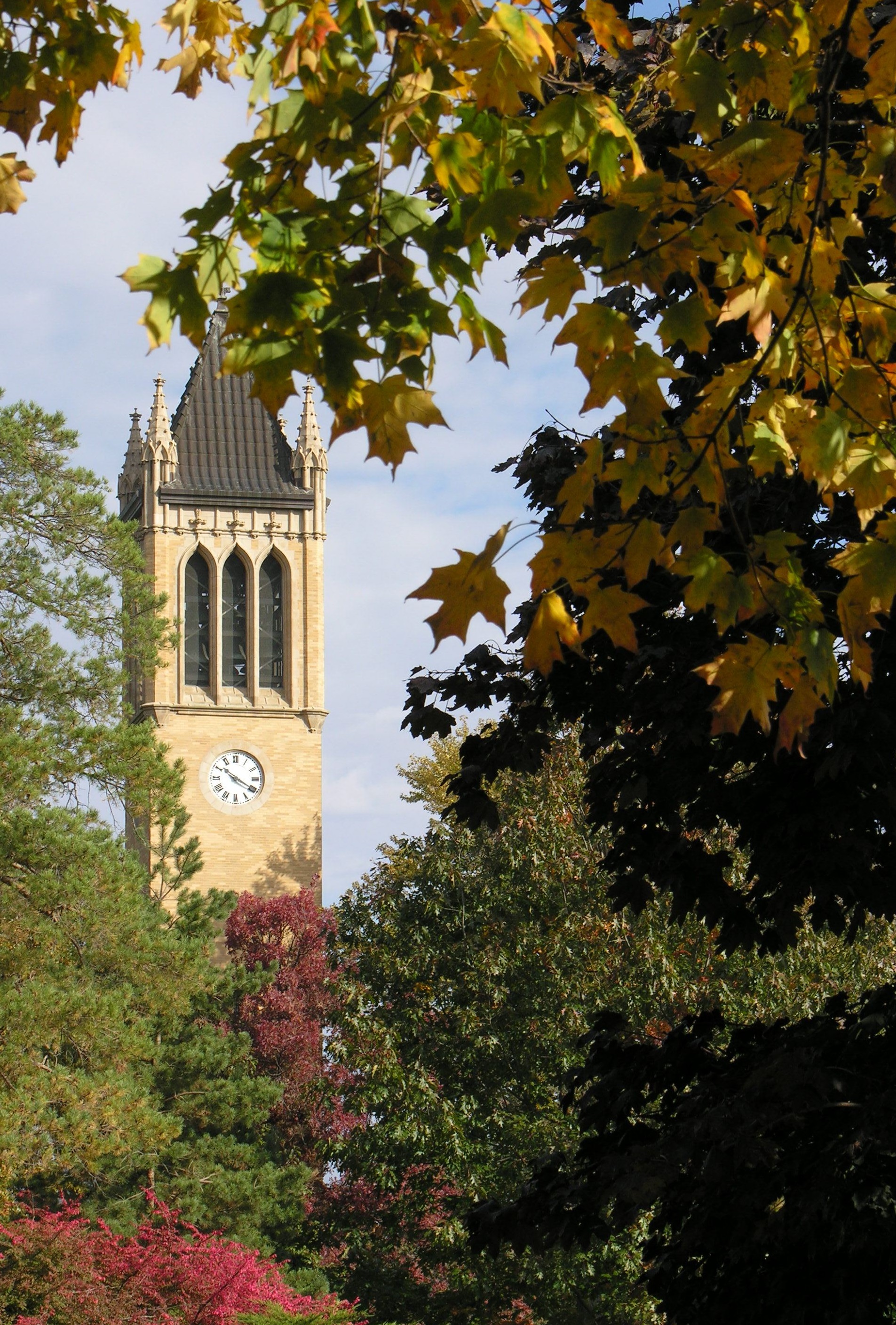 Picture of Campanile in the Fall